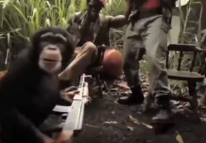 Monkey firing an AK-47 at soldiers in a surprising incident