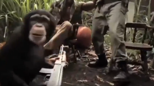 Monkey firing an AK-47 at soldiers in a surprising incident