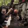 Monkey firing an AK-47 at soldiers in a surprising incident